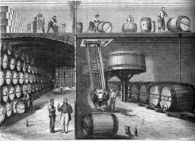 Viticoltura: vista interna delle cantine e dei laboratori di M. P. Morel e F. Sourzac a Bordeaux, Gironda (33) da French School
