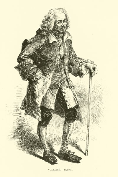 Voltaire da French School