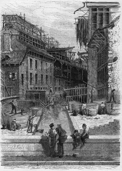 Vista di un impianto di concia e lavaggio pelli sulle rive della Bièvre a Parigi da French School