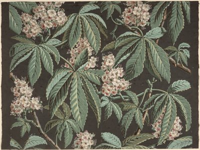 Disegno per Carta da Parati con Ramo di Castagno (dettaglio) ca. 1810, prodotto da Josef Dufour (1752-1827), Parigi da French School