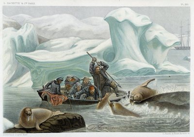 Caccia al tricheco - in "Le monde de la mer" di Alfred Fredol, Hachette, Parigi da French School
