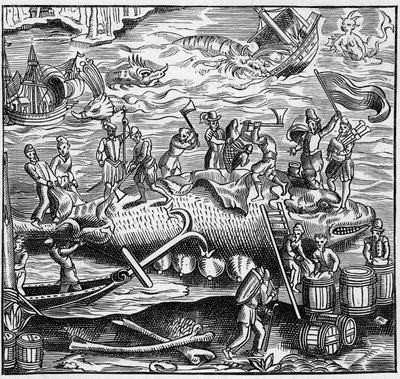 Pesca alla balena sulla costa francese dell