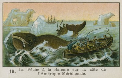 Caccia alla balena al largo della costa del Sud America da French School