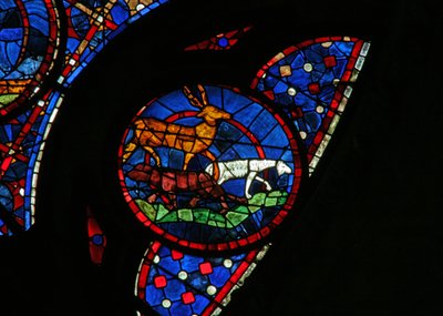 La creazione degli animali da French School