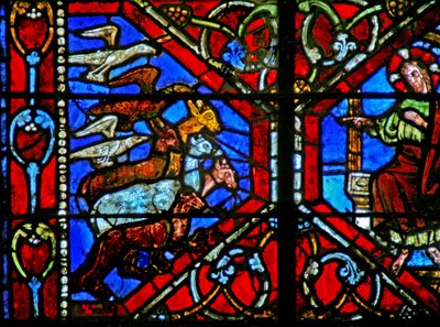Creazione degli uccelli e degli animali da French School