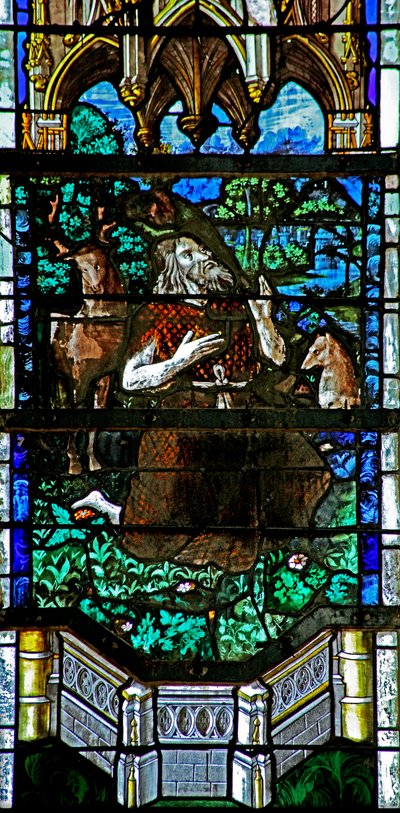 Finestra w29 raffigurante San Giovanni Battista che predica agli animali da French School