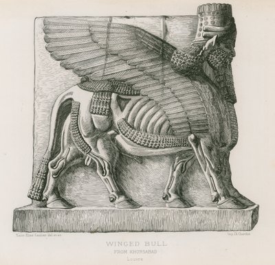 Toro alato, da Khorsabad, Louvre da French School