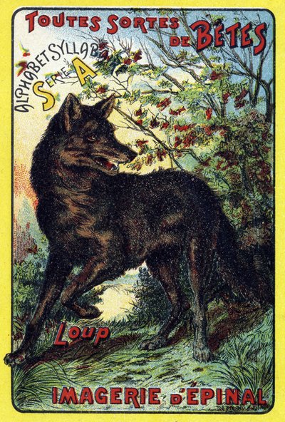 Lupo. Copertina di "Sillabario alfabeto di tutti i tipi di barbabietole". Serie A. Pellerin et Cie, stampatori-editori, Epinal, fine XIX secolo. Cromolitografie. Piccolo album pubblicitario di 8 pagine contenente un sillabario e un