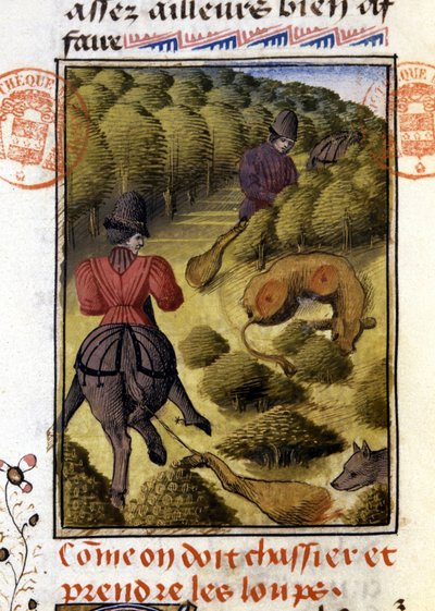 Caccia al lupo - in 