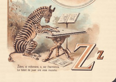 Zebra, se melomane, ha, sull