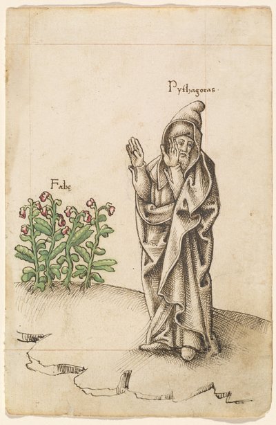 "Non mangiare fagioli" [fol. 25 recto] da French early 16th Century