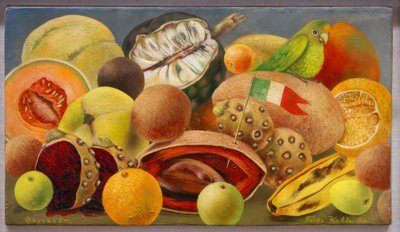 Natura morta con pappagallo e bandiera da Frida Kahlo