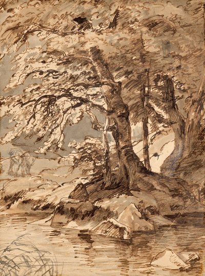 Studio di albero da Friedrich August Mathias Gauermann