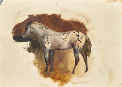 Cavallo pezzato da Friedrich August Mathias Gauermann