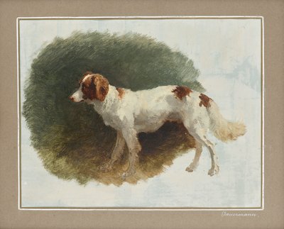 Cane da caccia da Friedrich August Mathias Gauermann