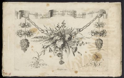 Diversi nuovi festoni di fiori e frutti da Friedrich Jacob Morisson