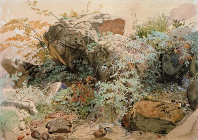 Massi ricoperti di arbusti presso un torrente di montagna da Friedrich Nerly