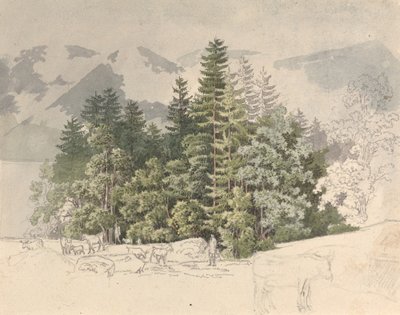 Paesaggio alpino da Friedrich Salathé