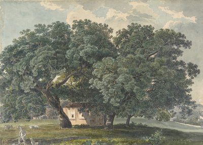 Paesaggio italiano con alberi da Friedrich Salathé