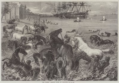 Il bagno mattutino dei cavalli a Calcutta da Friedrich Wilhelm Keyl