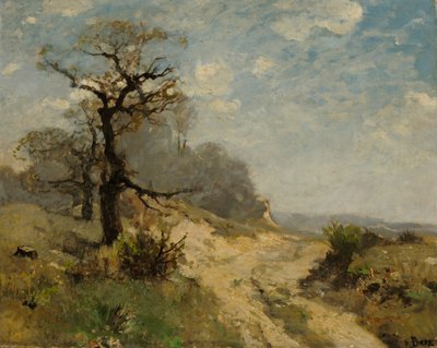 Paesaggio con sentiero da Fritz Baer