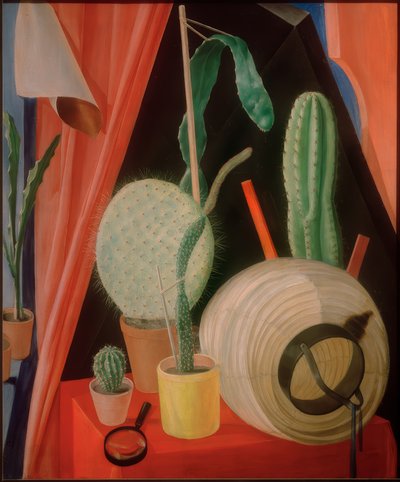 Natura morta con cactus da Fritz Burmann