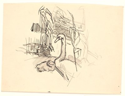Un cigno con anatroccolo da Fritz Syberg