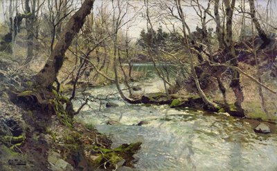 Fiume da Fritz Thaulow