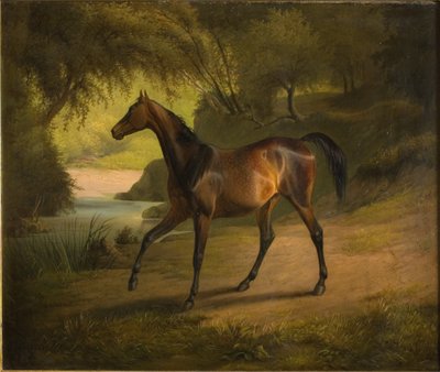 Antonia da Fritz Thomsen