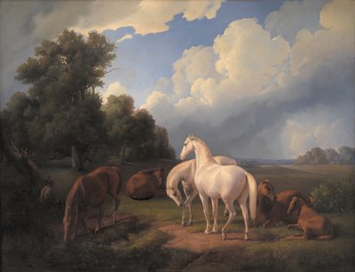 Lucia, Whimsey, Bellona, Hertha, Olga da Fritz Thomsen