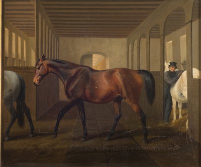 Rosetta da Fritz Thomsen