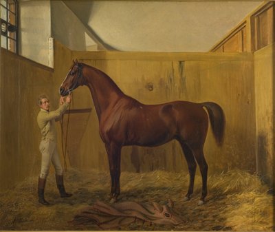 Rubini da Fritz Thomsen