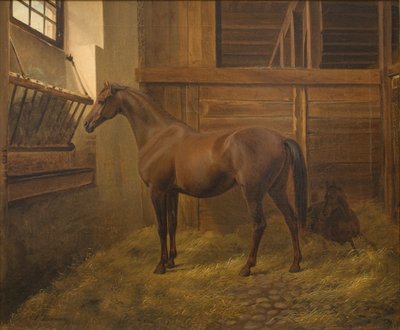 Sabina da Fritz Thomsen