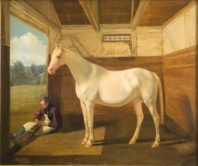 Svanhvide da Fritz Thomsen