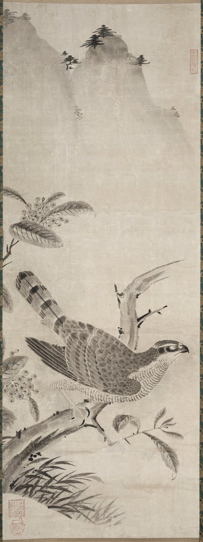 Falco da Fujiwara Masayoshi