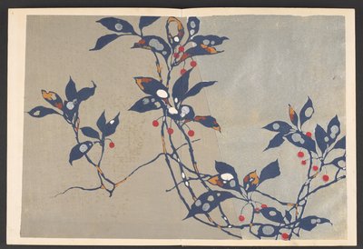 Shasei sôka môyô, Modelli di piante e fiori dal vivo da Furuya Korin