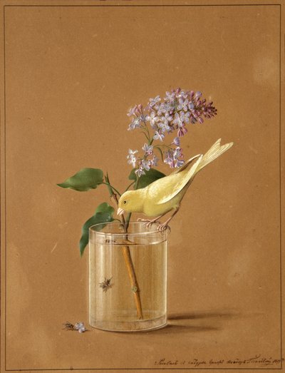 Uccello canarino su un ramoscello di lillà, 1819 da Fyodor Petrovich Tolstoy