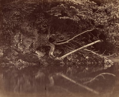 Riva del fiume nella Vale of Neath, c. 1855 (foto) da G.B. Gething