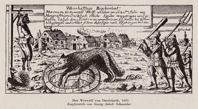 Il lupo di Ansbach da G.J. Schneider