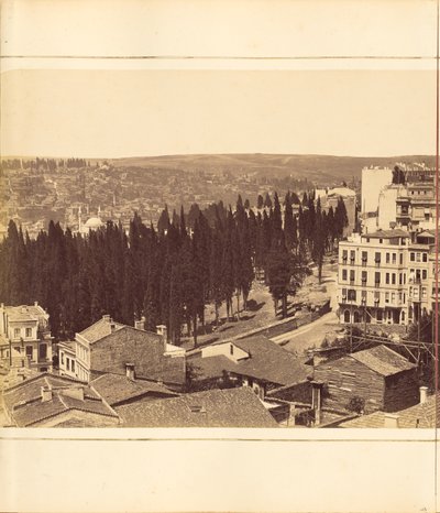 [Plate 13] da G. Berggren