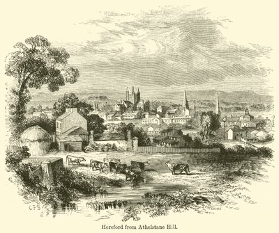 Hereford da Athelstane Hill da G. F. Sargent