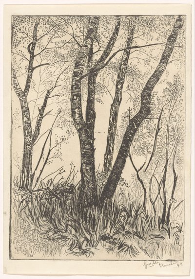 Alberi nell