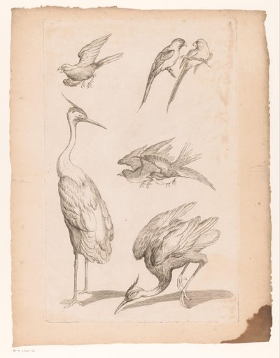 Sette uccelli cinesi, tra cui aironi e pappagalli da Gabriel Huquier (attributed to)