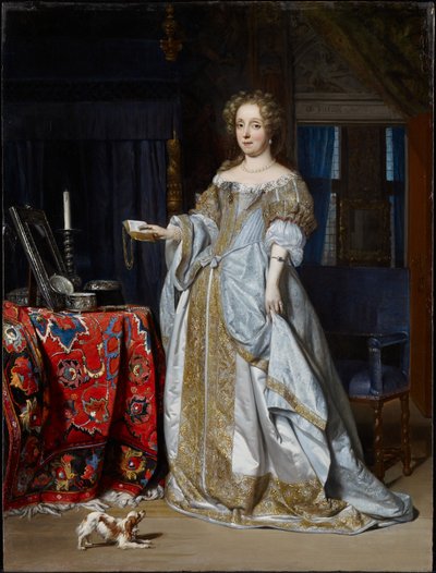 Ritratto di una signora da Gabriel Metsu