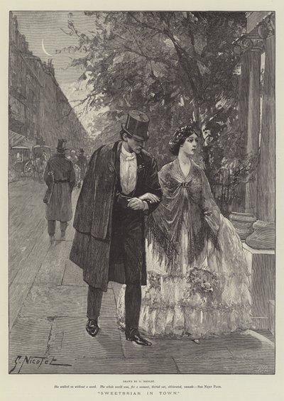 Rosa Canina in Città da Gabriel Nicolet