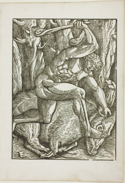 Le fatiche di Ercole: Ercole doma il cinghiale di Erimanto da Gabriel Salmon