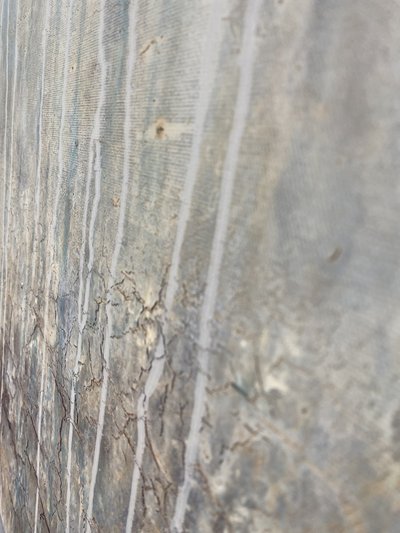  da Gabriela Aleksandra Szuba