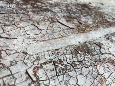  da Gabriela Aleksandra Szuba