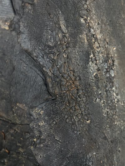  da Gabriela Aleksandra Szuba