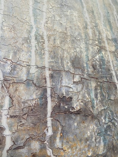  da Gabriela Aleksandra Szuba